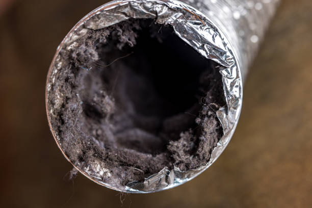 Best Home Air Vent Cleaning  in Oran, MO